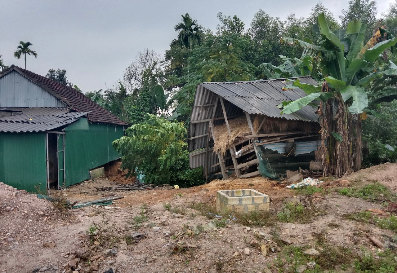 Tại hiện trường chuồng gia súc bị nghiêng hẳn về phía hố, cuốn theo nhiều đất, cây cối. Tại hiện trường chuồng gia súc bị nghiêng hẳn về phía hố, cuốn theo nhiều đất, cây cối.