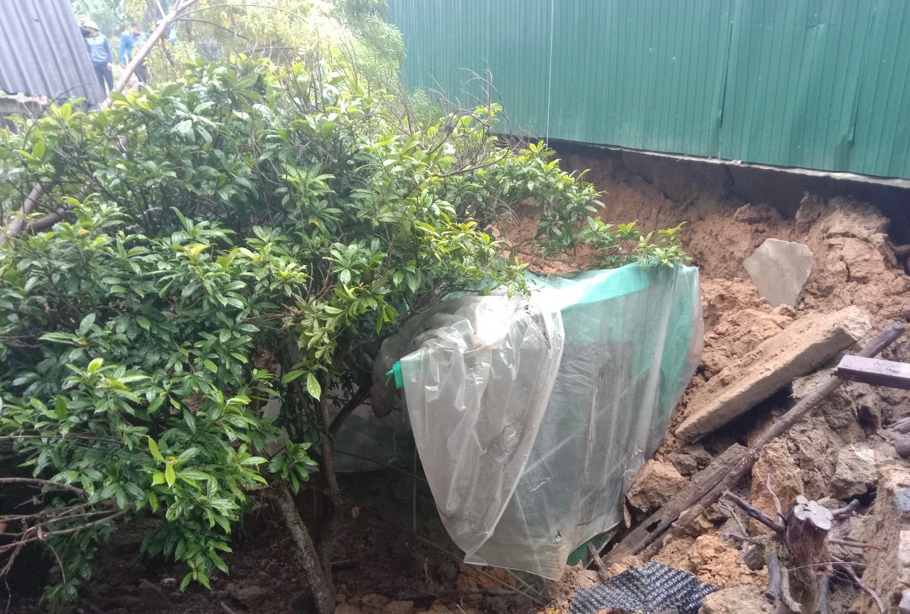 Cây cối bị hố sâu "nuốt chửng" cuốn theo nhiều đất đá. Cây cối bị hố sâu "nuốt chửng" cuốn theo nhiều đất đá.