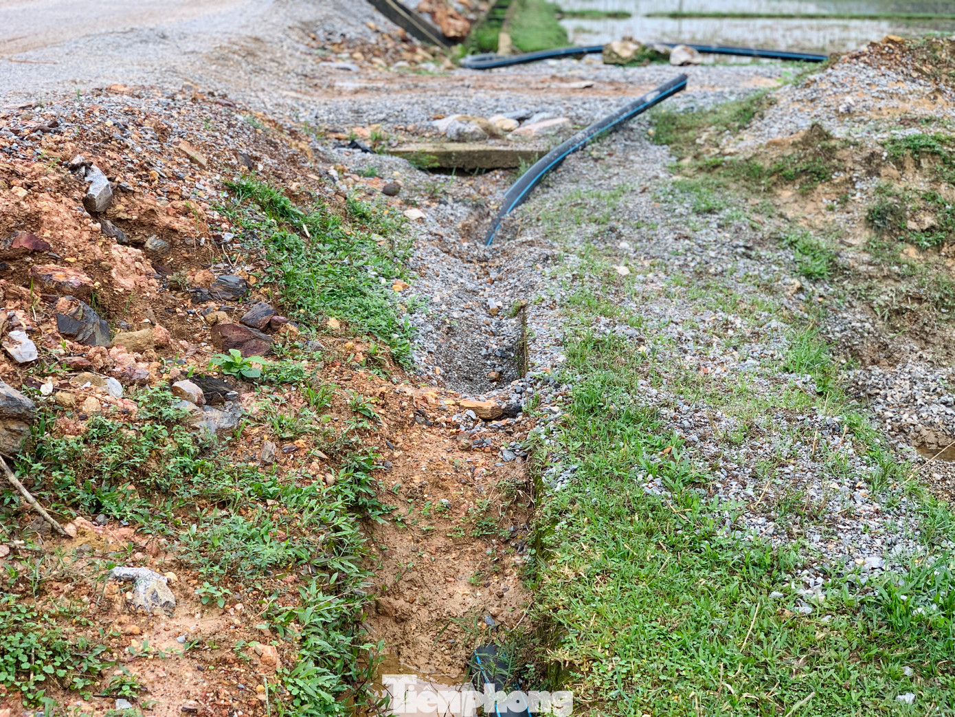 Thi công đường lấp hệ thống mương thuỷ lợi tưới tiêu của người dân.