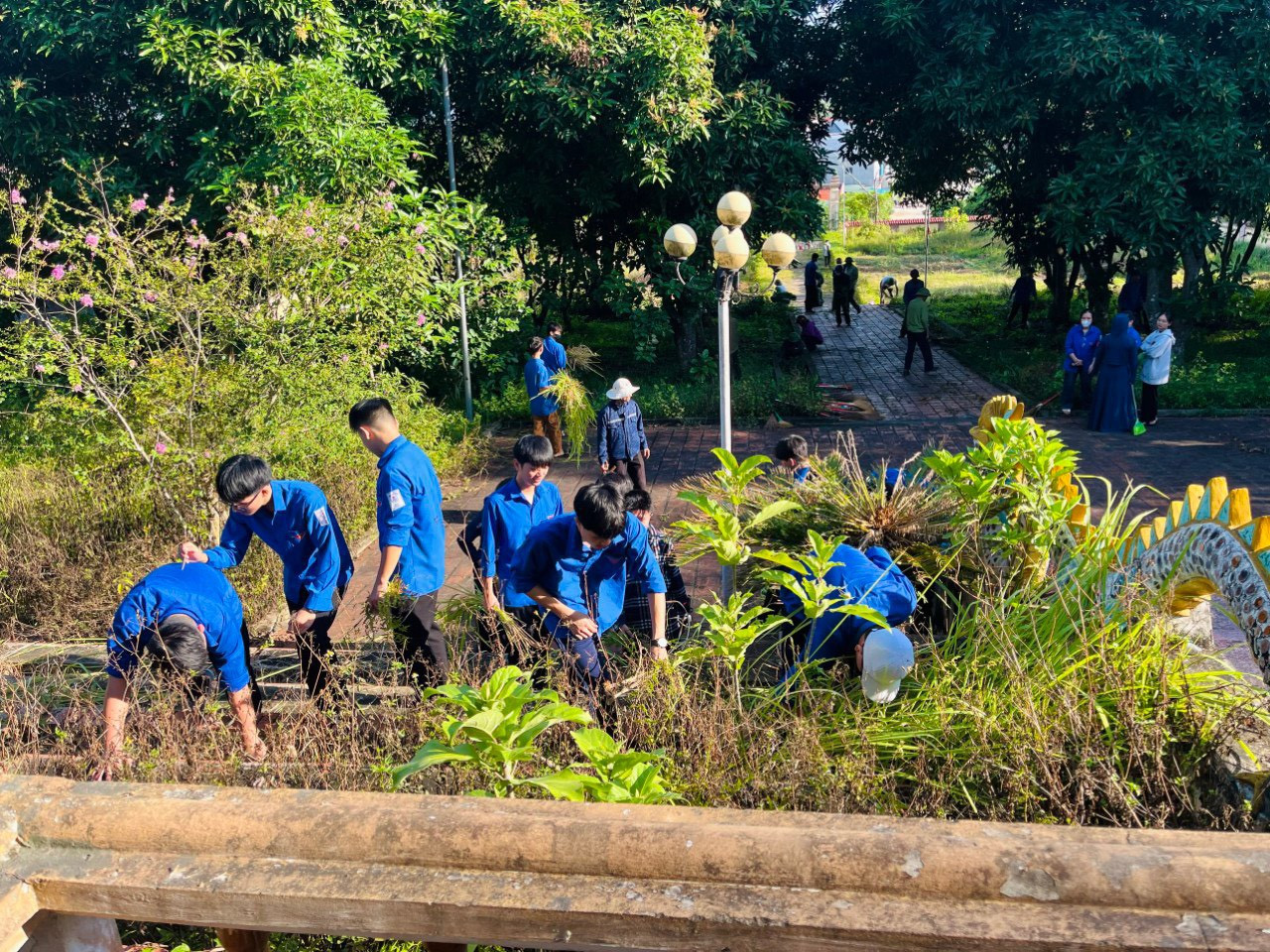 Các hoạt động cũng đã phát huy vai trò xung kích, tình nguyện của thanh niên Hà Tĩnh trong việc tham gia xây dựng nông thôn mới, đô thị văn minh, bảo vệ môi trường, ứng phó với biến đổi khí hậu.