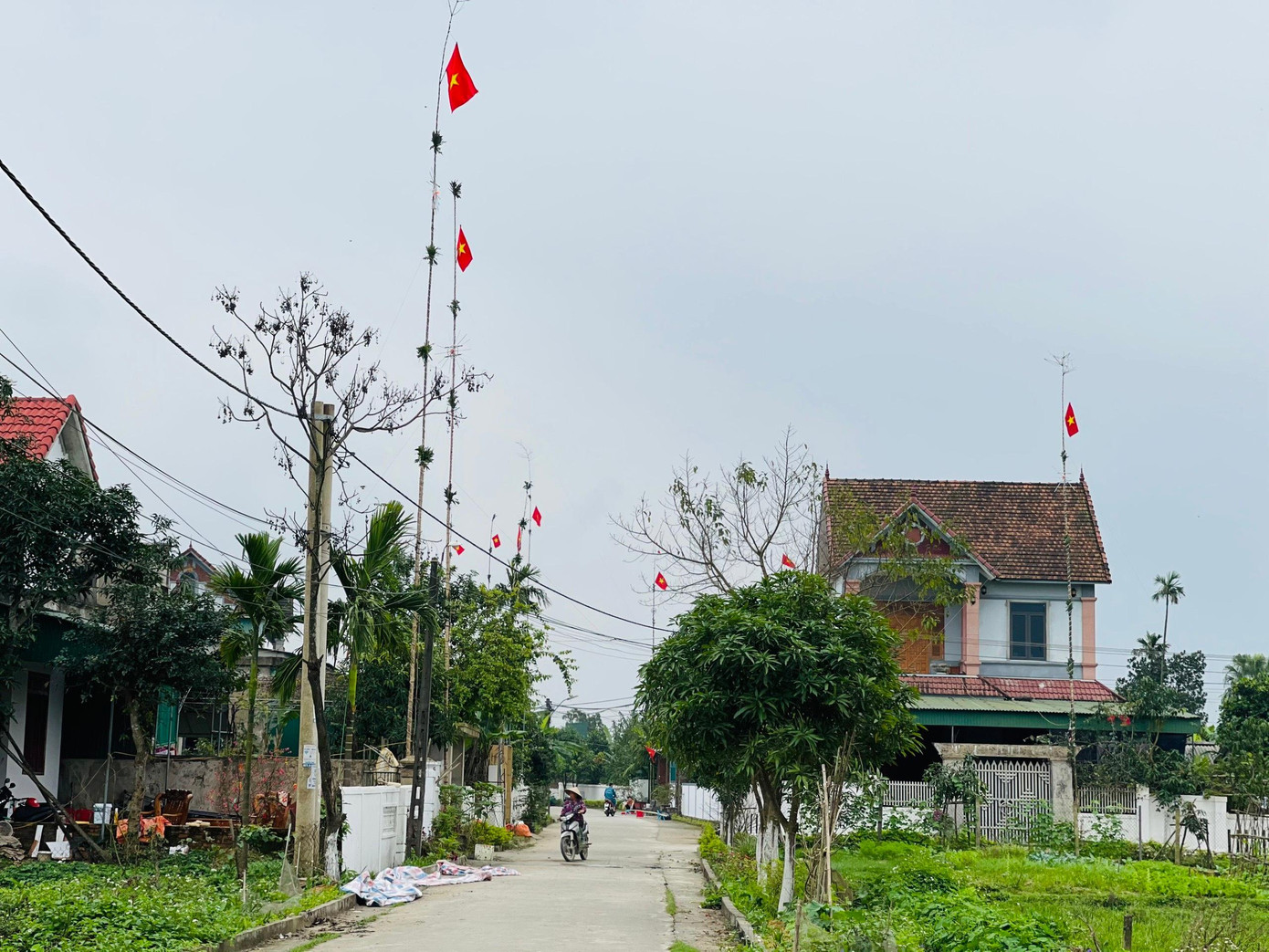 Người dân Hà Tĩnh những ngày này tất bật làm cây nêu để đón Tết với ý nghĩa bày tỏ lòng biết ơn ông bà tổ tiên, xua đuổi ma quỷ, cầu mong gia đình yên ấm, hạnh phúc.