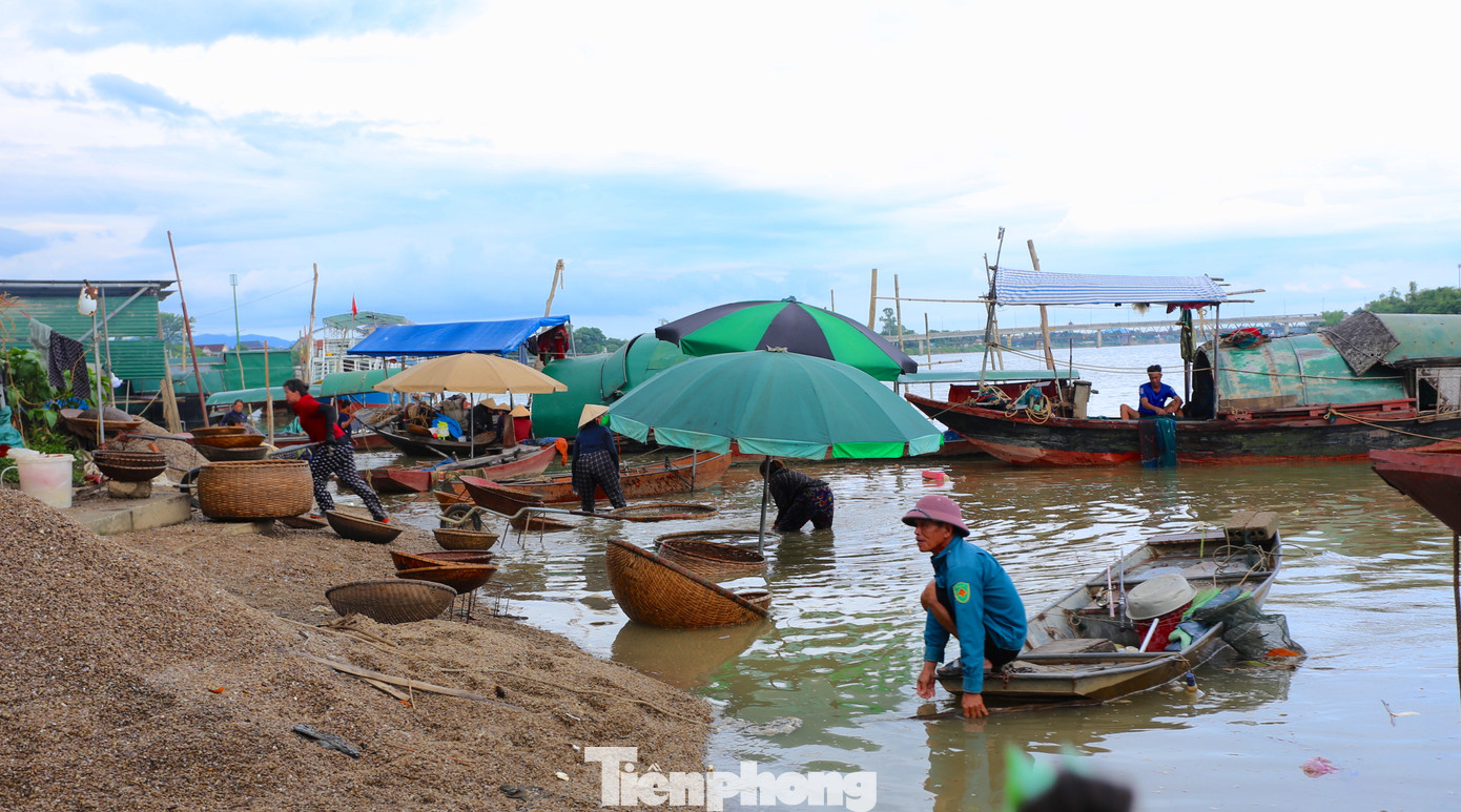 Cũng lúc này, những con thuyền nối đuôi chở hến theo sông La về Bến Hến để tách ruột. Có khoảng 100 hộ dân Bến Hến theo nghề này. Cũng lúc này, những con thuyền nối đuôi chở hến theo sông La về Bến Hến để tách ruột. Có khoảng 100 hộ dân Bến Hến theo nghề này.