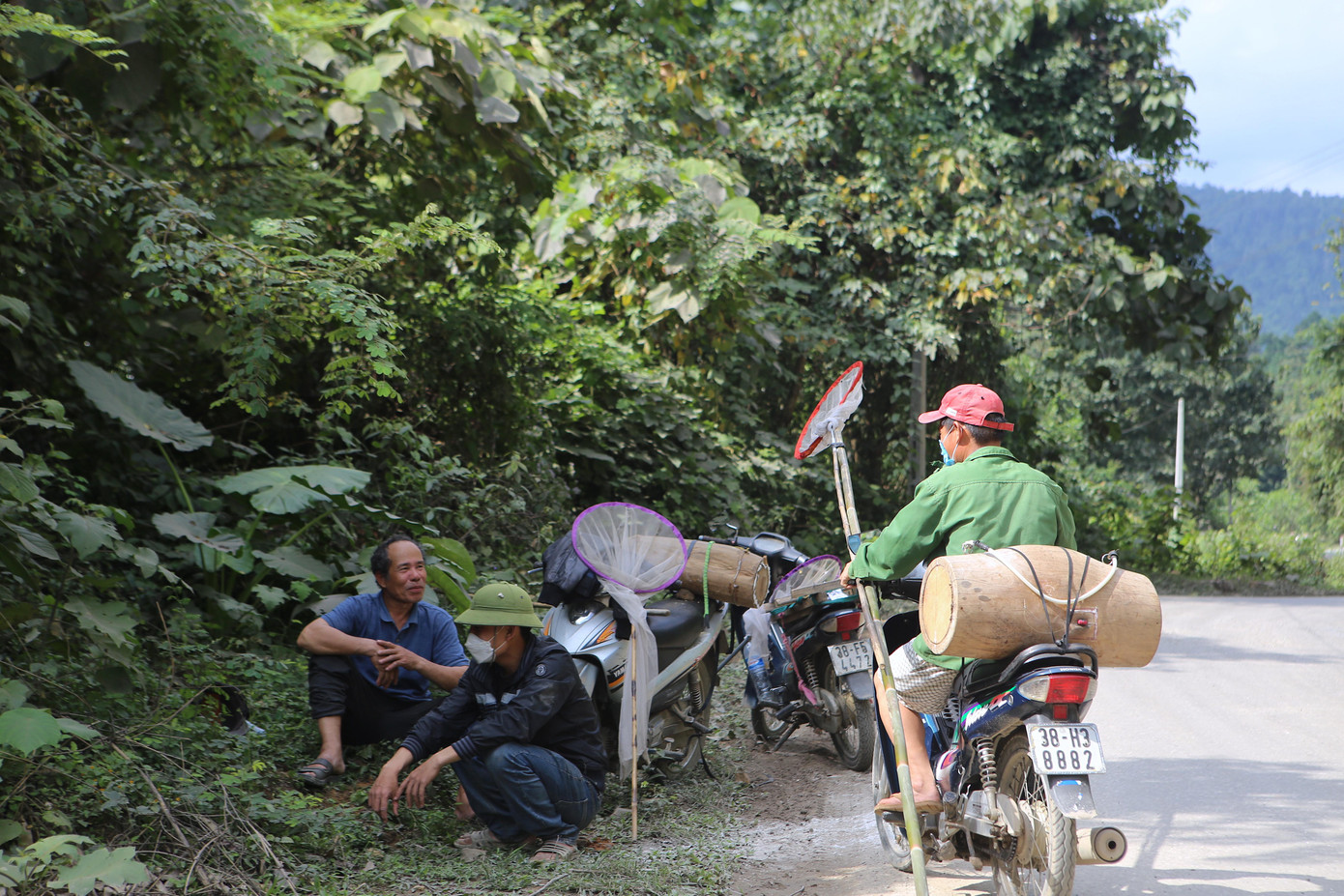 Khoảng 2 tháng nay, hàng trăm “thợ săn” ong ở miền núi Hà Tĩnh chạy xe máy lên các con suối, khu rừng để săn ong. Dụng cụ mang theo là những chiếc vợt tự chế bằng màn, tổ và ít nước, thức ăn dự trữ.