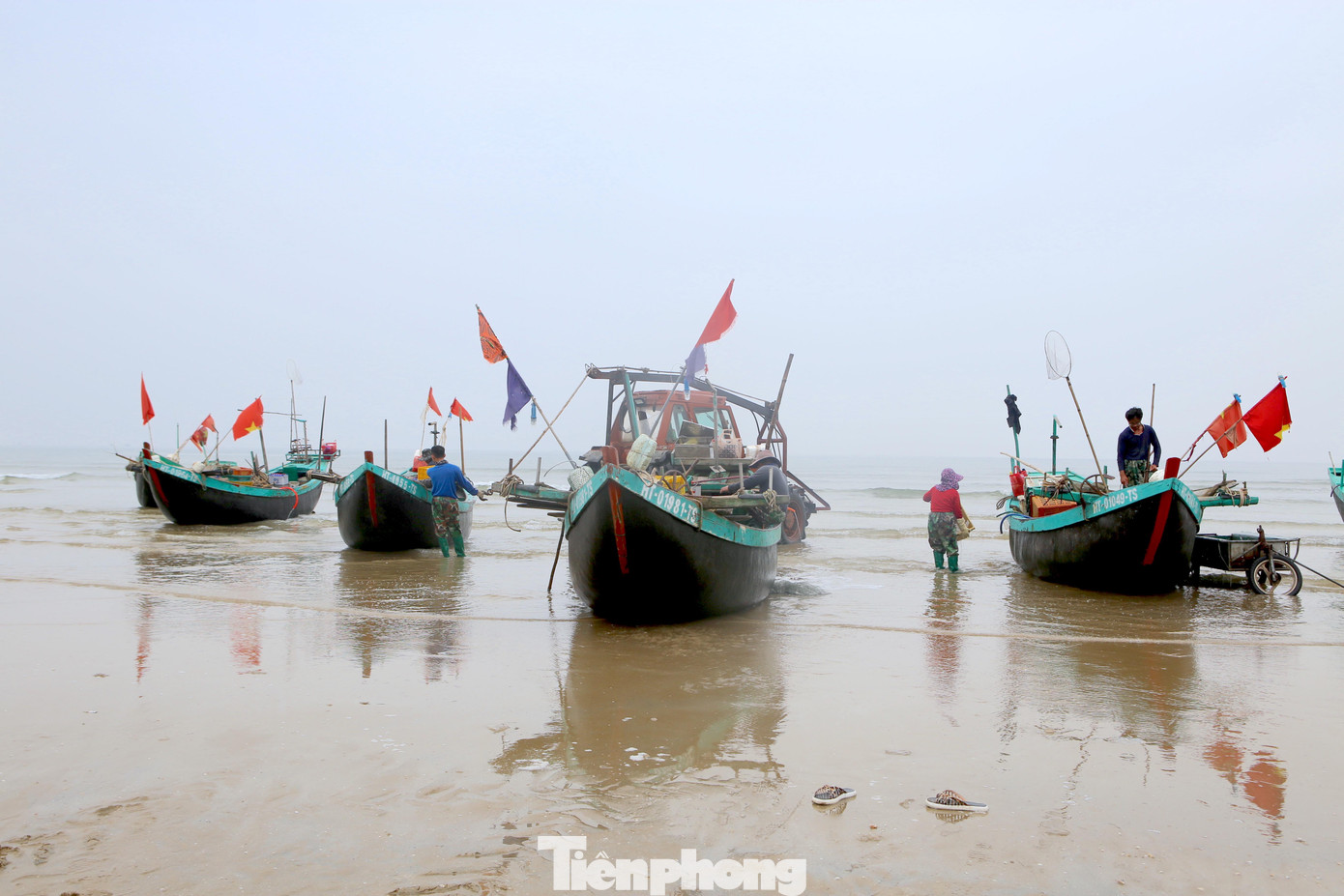 Tại các xã vùng bãi ngang của huyện Thạch Hà những ngày này ngư dân đang thu hoạch sứa biển.