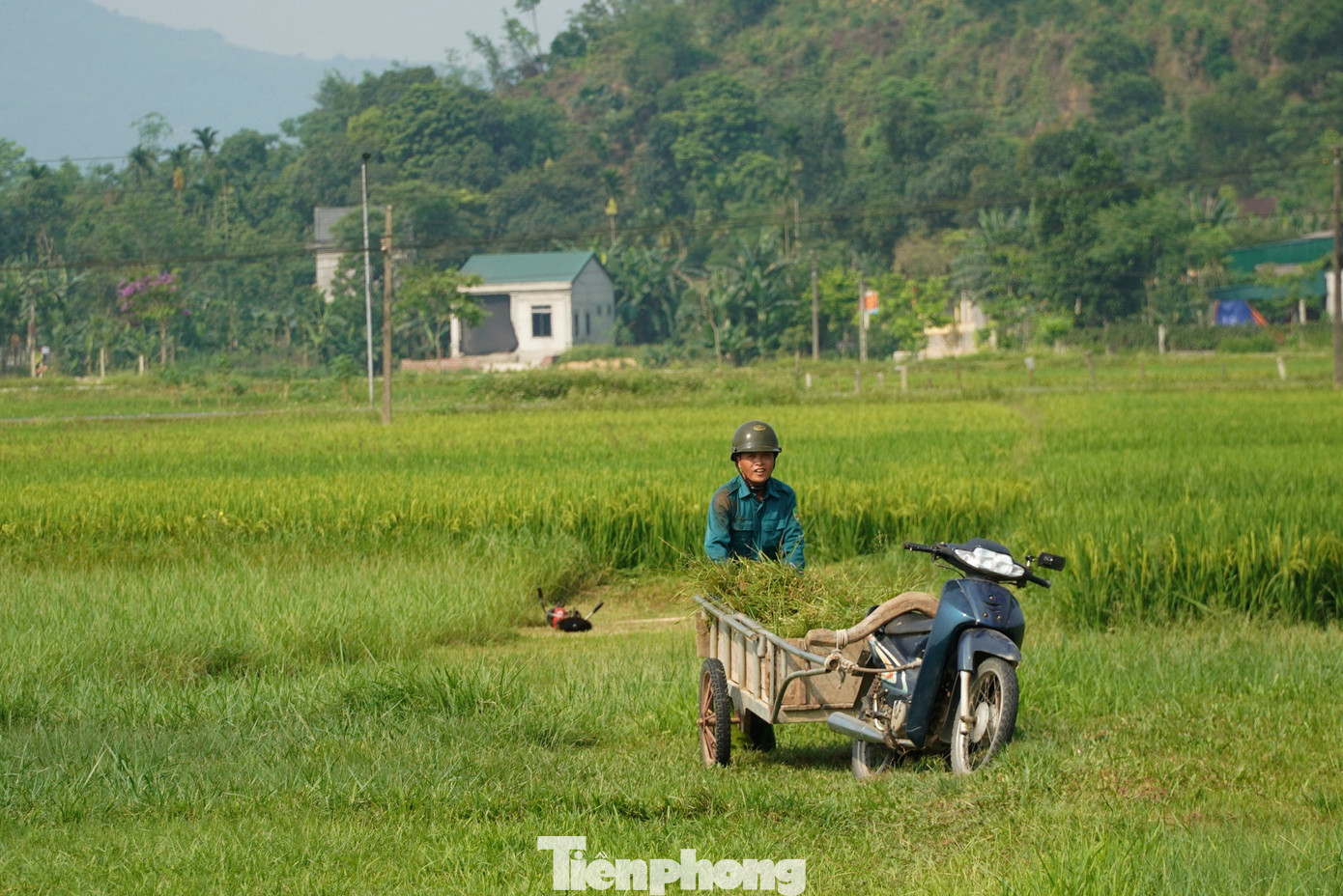 Ghi nhận tại huyện Hương Sơn vào ngày 27/4, từ sáng sớm người dân ra đồng làm việc để tránh nắng. Ghi nhận tại huyện Hương Sơn vào ngày 27/4, từ sáng sớm người dân ra đồng làm việc để tránh nắng.