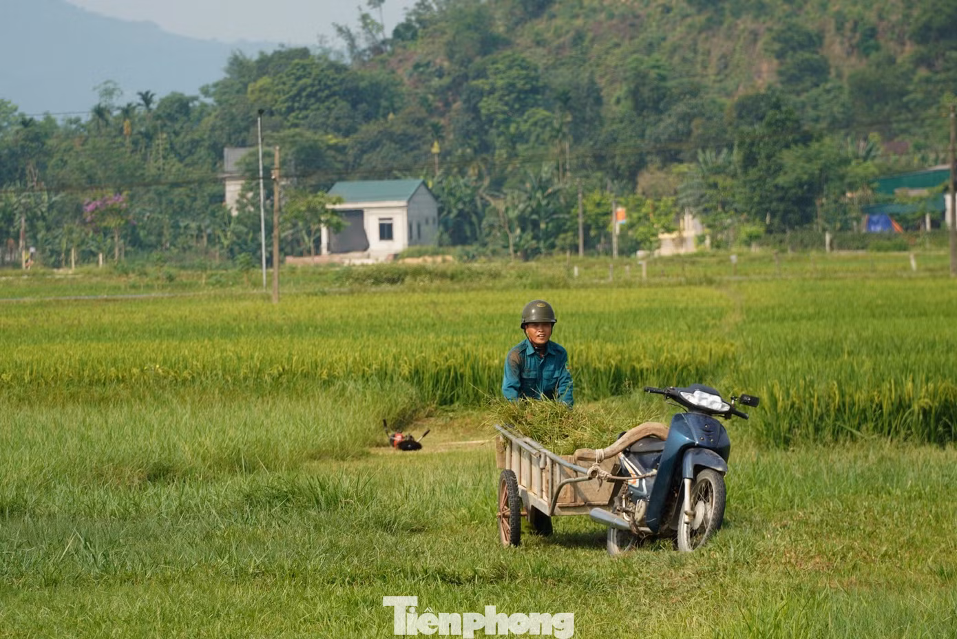 Ghi nhận tại huyện Hương Sơn vào ngày 27/4, từ sáng sớm người dân ra đồng làm việc để tránh nắng.