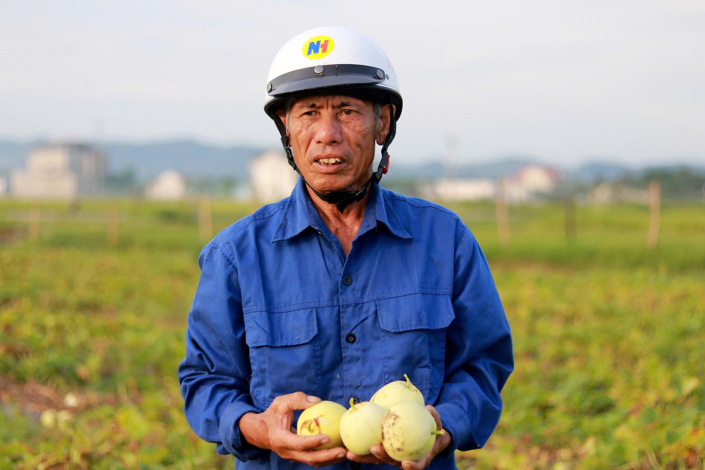 Ông Đậu Sơn (65 tuổi, trú thôn Việt Yên) chia sẻ, gia đình ông trồng hơn 3 sào trồng dưa, năm nay thời tiết thuận lợi, gia đình ước tính thu về gần 40 triệu đồng sau khi trừ chi phí. Theo ông Sơn, cánh đồng trồng dưa lợi nhuận cao gấp nhiều lần so với trồng lúa như trước đây.