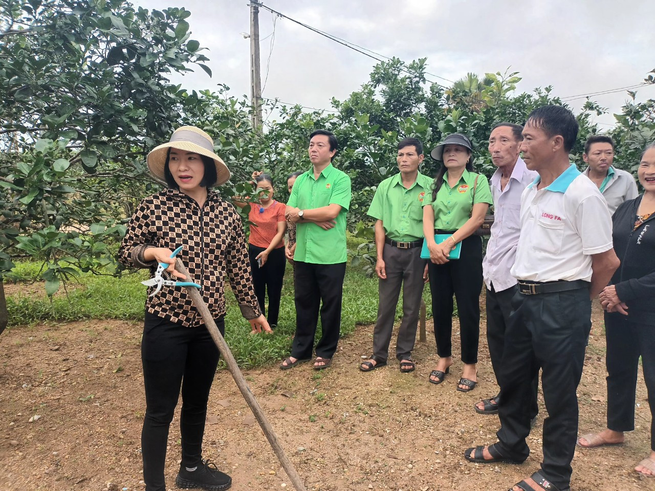 Người dân được tập huấn kỹ thuật chăm sóc bưởi sau khi lũ rút để tránh cây chết...
