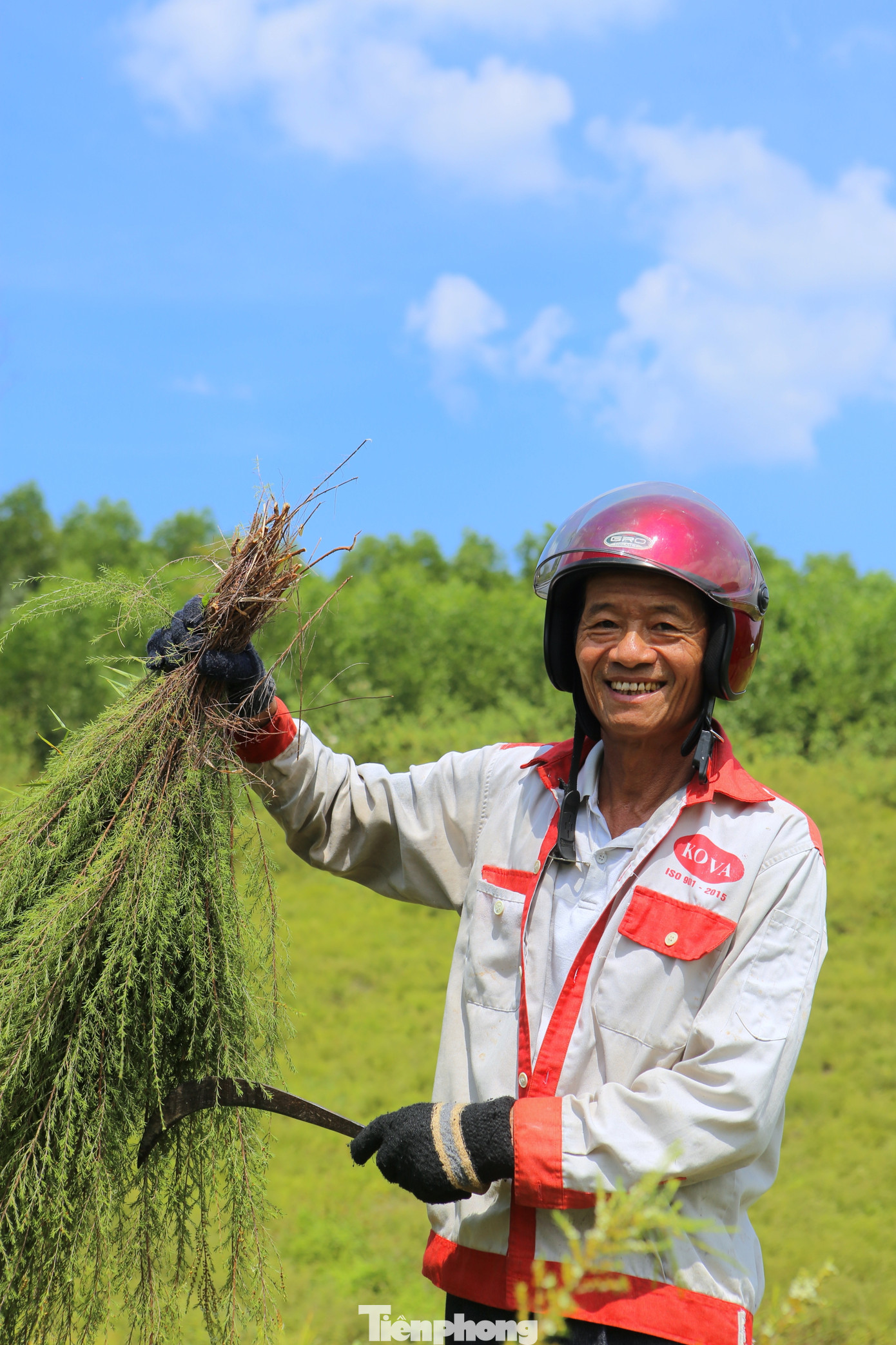 “Hiện gia đình có hơn 1ha đất trồng cây trện. Cứ thế hàng chục năm qua nhờ cây mọc hoang trên rừng này đã giúp gia đình tôi vươn lên phát triển kinh tế. Nuôi con vào đại học cũng nhờ cây trện này. Có những năm giá trện tăng cao, gia đình thu về hơn 80 triệu đồng/năm”, ông Hồng nói.