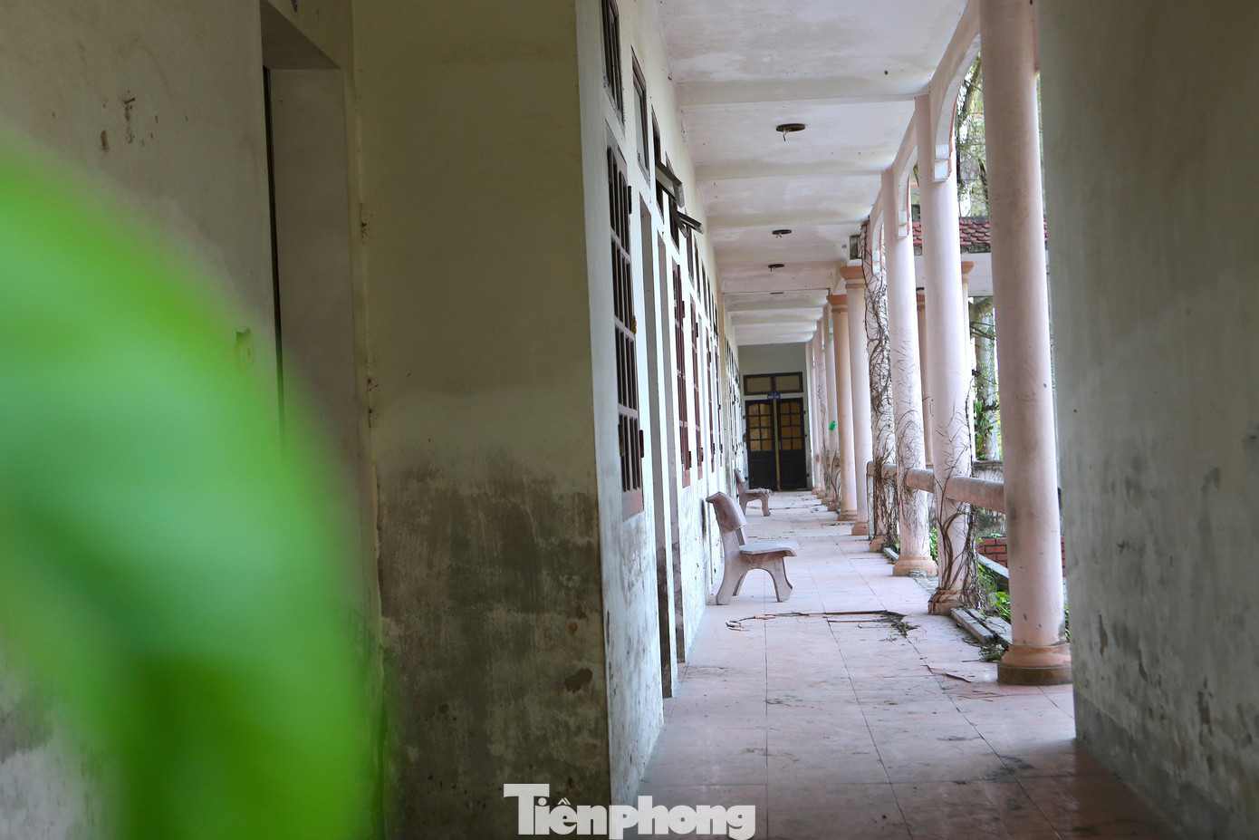 Dãy phòng thực nghiệm trở nên hoang tàn theo thời gian. Toàn bộ khuôn viên cỏ dại mọc um tùm, tường rêu xanh phủ kín. “Trước đây khi trường đang mở cửa cũng chỉ có ít học sinh theo học, sau một thời gian thì bỏ hoang cho đến nay. Bên trong giờ xuống cấp, mái nhà, phần cửa, hệ thống phòng đã hư hỏng nặng. Lâu không có ai bảo vệ nên dân thường đưa trâu, bò vào chăn thả bên trong”, ông Nguyễn Công Luận (trú thị trấn Xuân An) nói. Trao đổi với Tiền Phong, ông Đoàn Hoài Sơn - Hiệu trưởng trường Đại học Hà Tĩnh cho biết, từ năm 2017, trường Trung cấp Kỹ thuật và Phát triển nông nghiệp đã được bàn giao lại cho UBND tỉnh Hà Tĩnh quản lý. Phía tỉnh giao cho Sở Tài Chính bán, chuyển nhượng nhưng vẫn chưa bán được. Gần đây nhất tỉnh đang làm thủ tục chuyển nhượng cho một đơn vị khác sử dụng, còn phía trường đang thuê bảo vệ để bảo vệ tài sản ở trường bỏ hoang này.