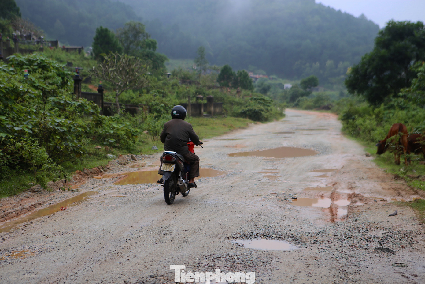 Nắng bụi mù mịt, mưa đường lầy lội, hơn 15 năm qua, người dân xã Kim Hoa phải sống trong cảnh khốn khổ khi đường xuống cấp.