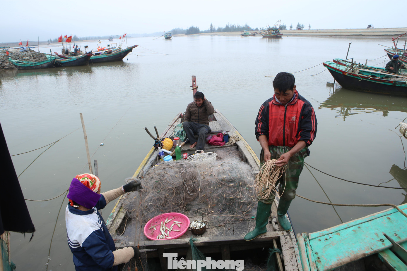 Người dân cho biết, mùa này chủ yếu đánh bắt được cá trích, cá đục. Mỗi ngày thuyền thu về từ 20-30kg cá, có một số thuyền trúng đậm gần tạ cá.