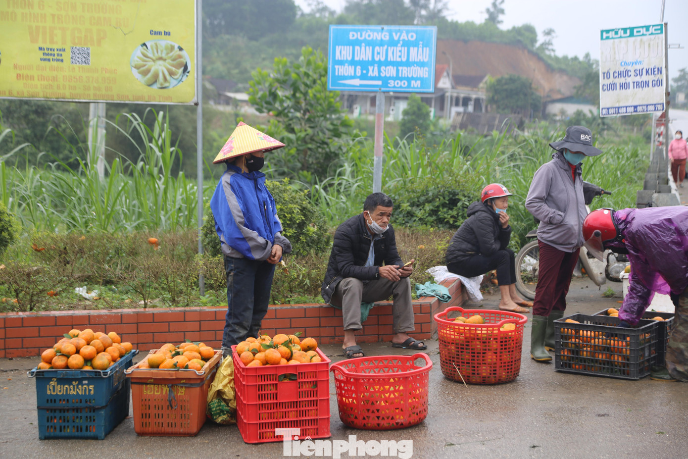 Cây cam bù xuất hiện lần đầu tiên vào năm 1972, do hợp tác xã Thạch Sơn trồng tại vùng núi Kim Nhan. Cam bù tiếp tục được trồng và nhân giống rộng rãi, trở thành loại cây lọt top 50 đặc sản trái cây nổi tiếng của Việt Nam. Giống cam này cho năng suất cao, giá trị kinh tế lớn với hàng nghìn hộ dân trên địa bàn huyện Hương Sơn, Vũ Quang.