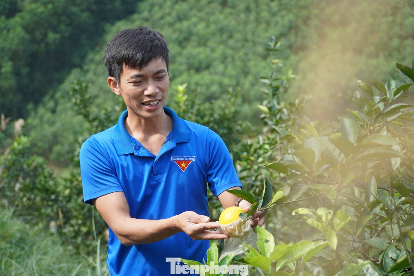 Anh Bảo cho biết, anh tập trung trồng cam theo hướng thuận tự nhiên. Đặc biệt không sử dụng thuốc bảo vệ thực vật, chỉ sử dụng phân bón vi sinh hữu cơ, phân chuồng hoai mục ủ men vi sinh để phát triển vườn cam. Anh Bảo cho biết, anh tập trung trồng cam theo hướng thuận tự nhiên. Đặc biệt không sử dụng thuốc bảo vệ thực vật, chỉ sử dụng phân bón vi sinh hữu cơ, phân chuồng hoai mục ủ men vi sinh để phát triển vườn cam.