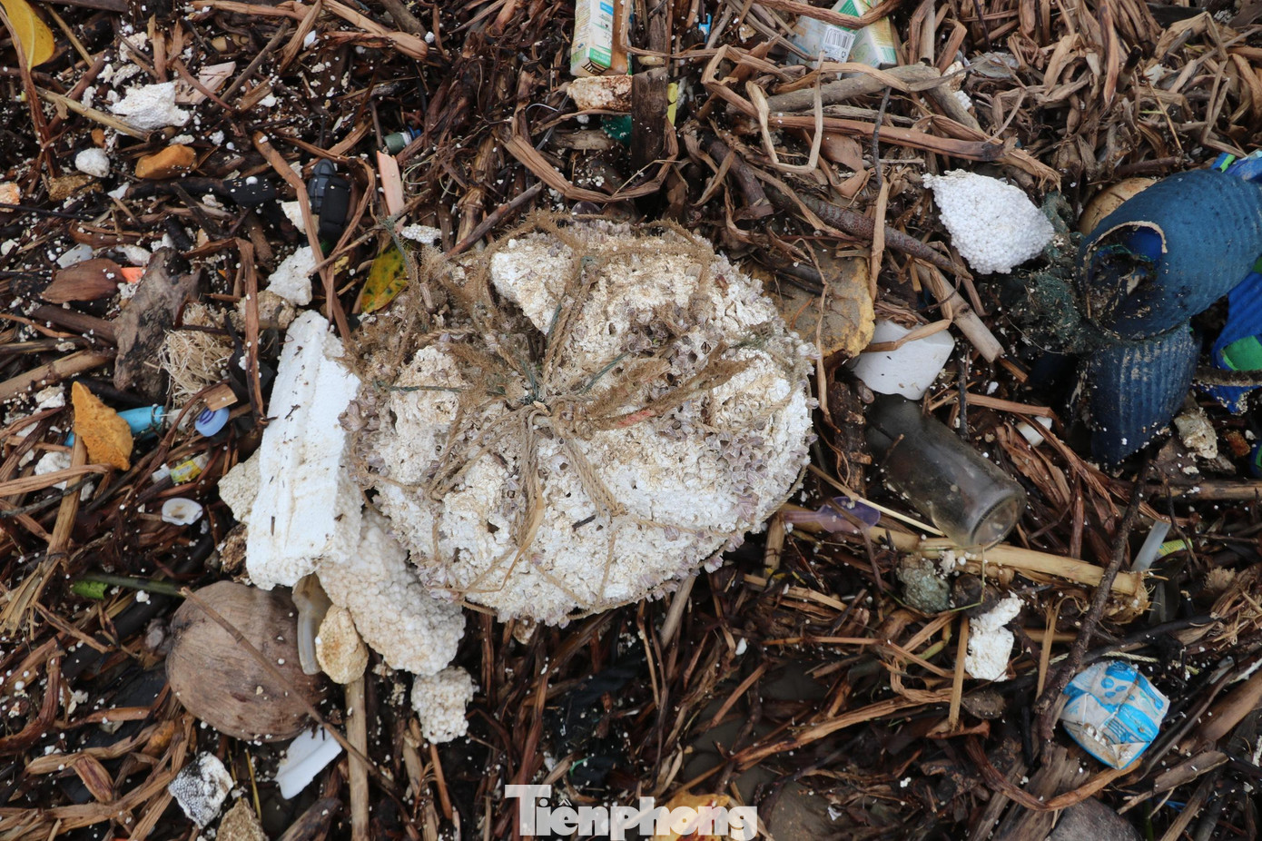 Rác thải chất đống