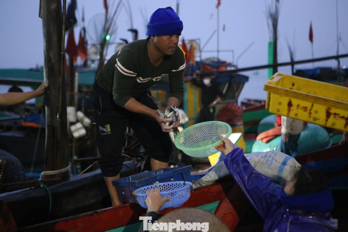 Trong chuyến đi biển đầu năm này, nhiều tàu thuyền của ngư dân đã trúng đậm hải sản, mang về thu nhập cao.