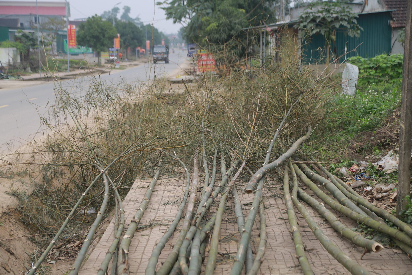 Bà Nguyễn Thị Thành (trú huyện Can Lộc) cho hay, bắt đầu từ ngày 15 tháng Chạp, đi thu mua cây tre từ các hộ gia đình trên địa bàn huyện về để bán. Giá bán của mỗi cây từ 120-150 ngàn đồng/cây. Vì ngày Tết, nhà nào cũng có nhu cầu sử dụng nên bán rất đắt khách.