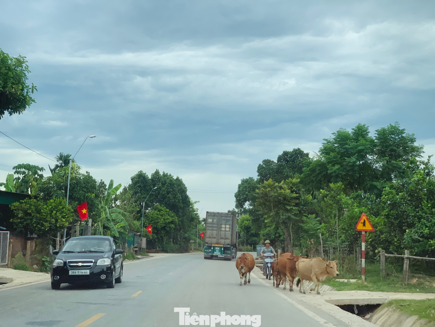 Theo như người dân đây là thời điểm các cánh đồng đang bỏ hoang để chuẩn bị cho vụ Đông Xuân nên nhiều người thả trâu, bò ra cho ăn. Vì không thể giám sát thường xuyên nên đàn bò tự ý lên đường.