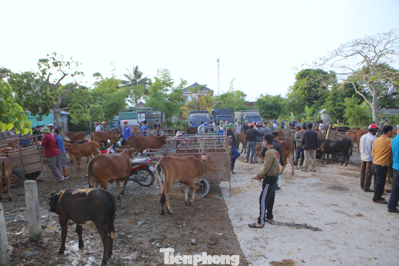 Ngoài trâu, bò nơi đây cũng buôn bán những mặt hàng nông sản, lưu giữ những phong tục tập quán của người dân Hà Tĩnh. Chợ Nhe thường họp vào các ngày chẵn như mùng 2, 12, 22 và những ngày lẻ như mùng 7, 17, 27... trong tháng. Mỗi buổi họp từ 4h sáng đến khoảng 10 giờ là tan chợ.