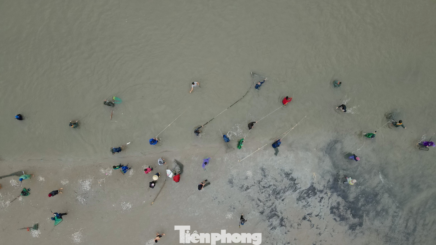 Người dân cho biết đây là thời điểm “vàng” khi sò lông dạt vào bờ rất nhiều nên họ tranh thủ ra biển kiếm thêm thu nhập.