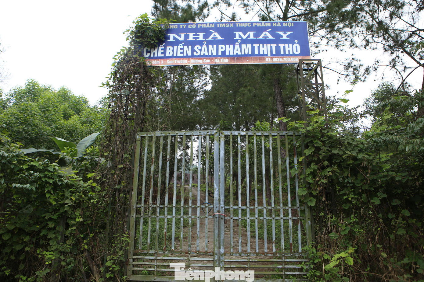 Ghi nhận tại nhà máy, cổng chính khoá chặt, xung quanh cây cối mọc um tùm.