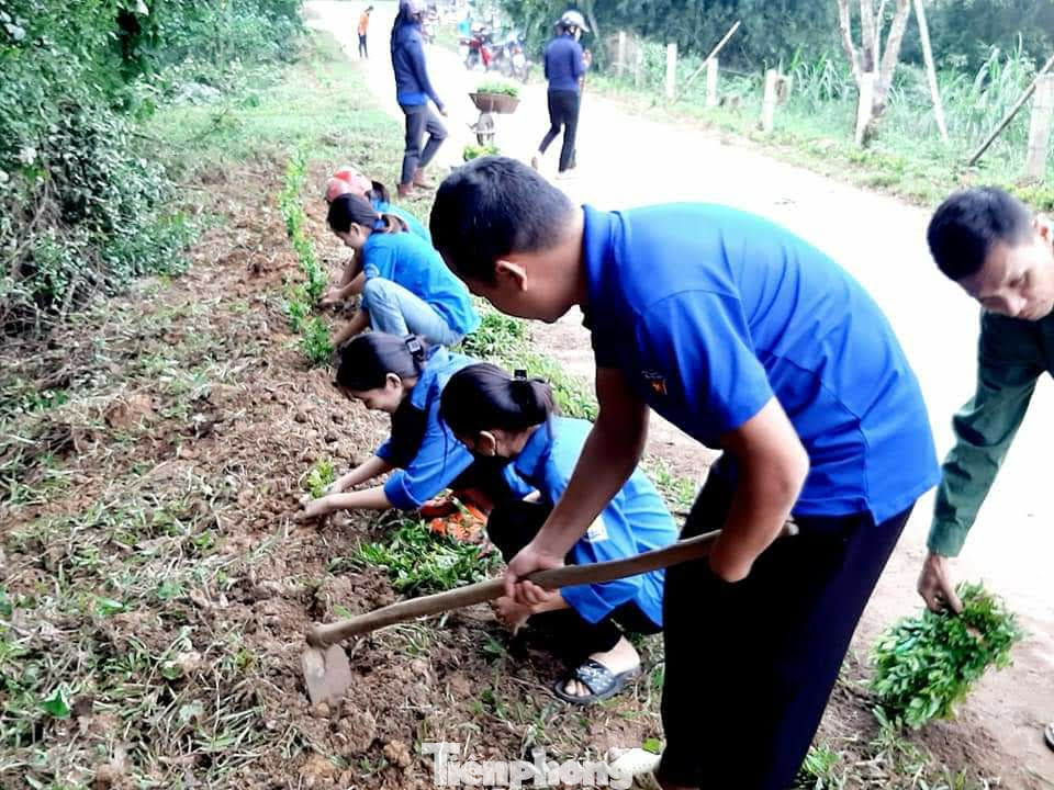 Anh Quế cùng tham gia hỗ trợ xây dựng nông thôn mới.