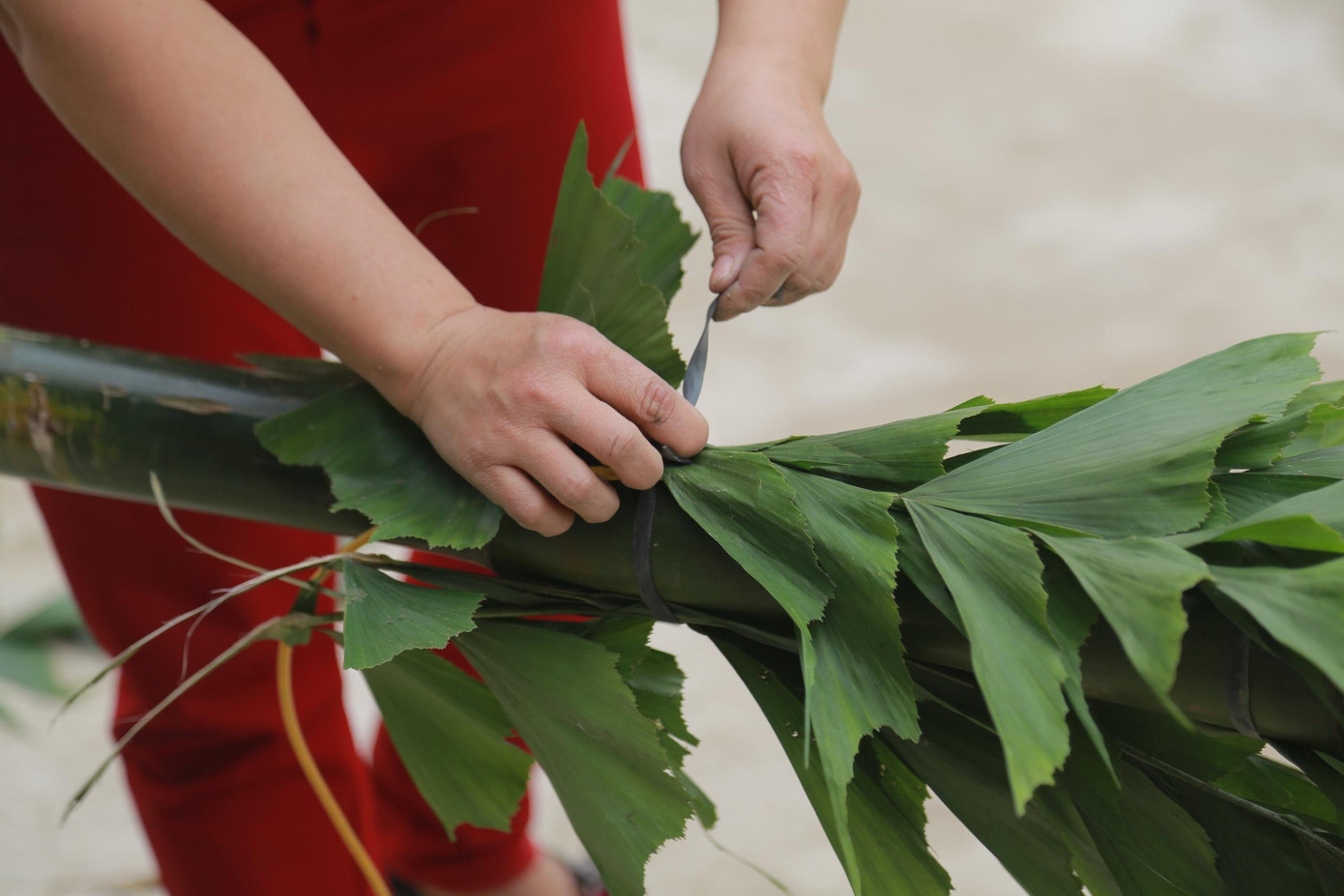 Ngoài cây tre, gia đình ông Mười cũng bán thêm lá đùng đỉnh để làm cây nêu. Như năm ngoái, bằng nghề bán cây nêu dịp Tết, gia đình thu về gần 50 triệu đồng.