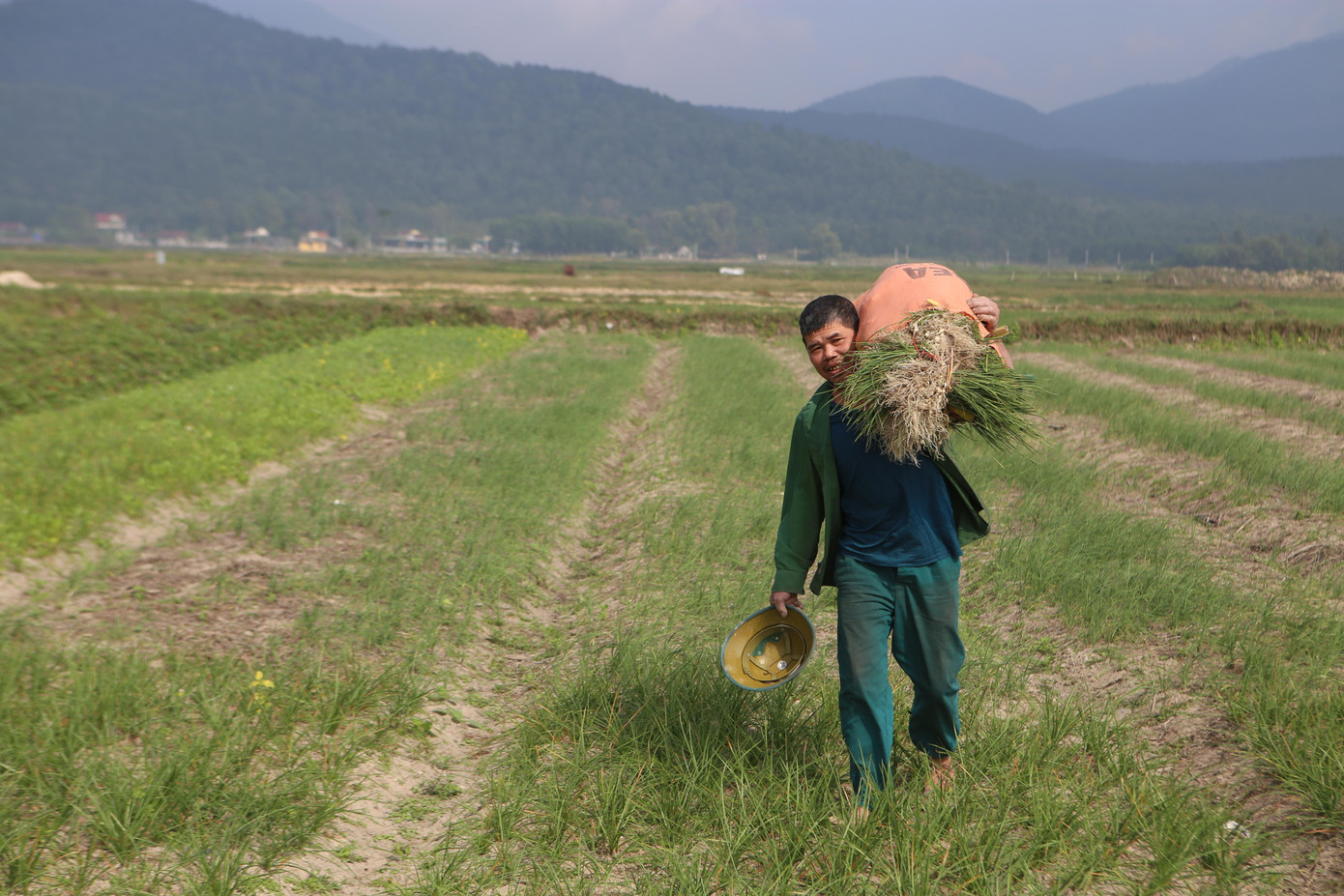 Xã Thiên Lộc (huyện Can Lộc) có 9/10 thôn sản xuất hành tăm với diện tích khoảng 130 ha. Đây là nơi có số lượng diện tích trồng hành nhiều nhất tỉnh Hà Tĩnh.