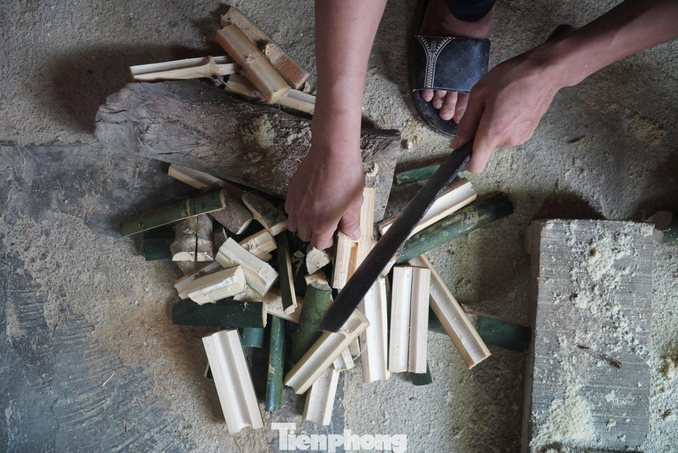 Anh Nhâm dùng dao chặt những thân tre để cho dúi ăn. Anh Nhâm dùng dao chặt những thân tre để cho dúi ăn.