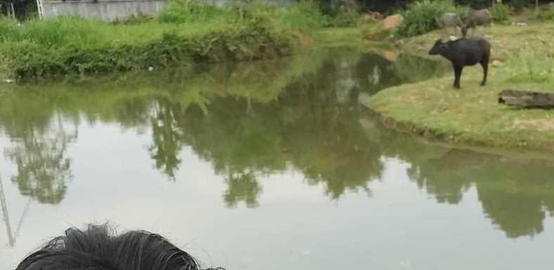 Khu vực ao nước nơi xảy ra vụ việc.