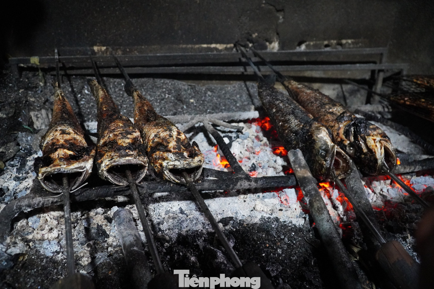 Mỗi con cá lóc được chọn để nướng thường có cỡ vừa với trọng lượng trung bình từ 1 - 1,5kg. Sau khi làm sạch, người dân vẫn giữ phần ruột để khi ăn có thể cảm nhận được vị đắng đặc trưng của mật cá.