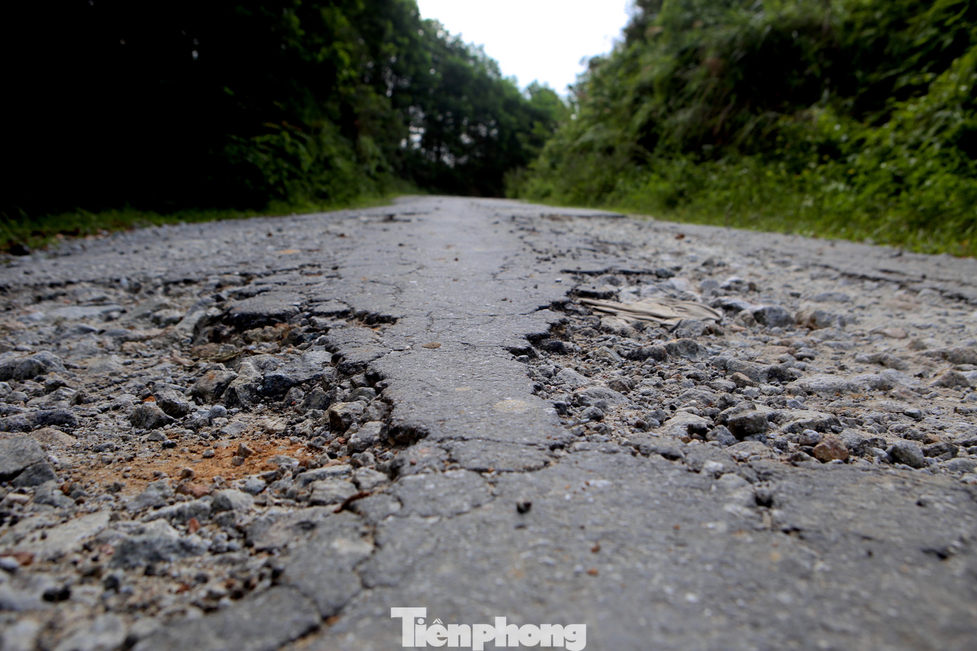 Mặt đường được thảm nhựa nhưng gần như bị băm nát.
