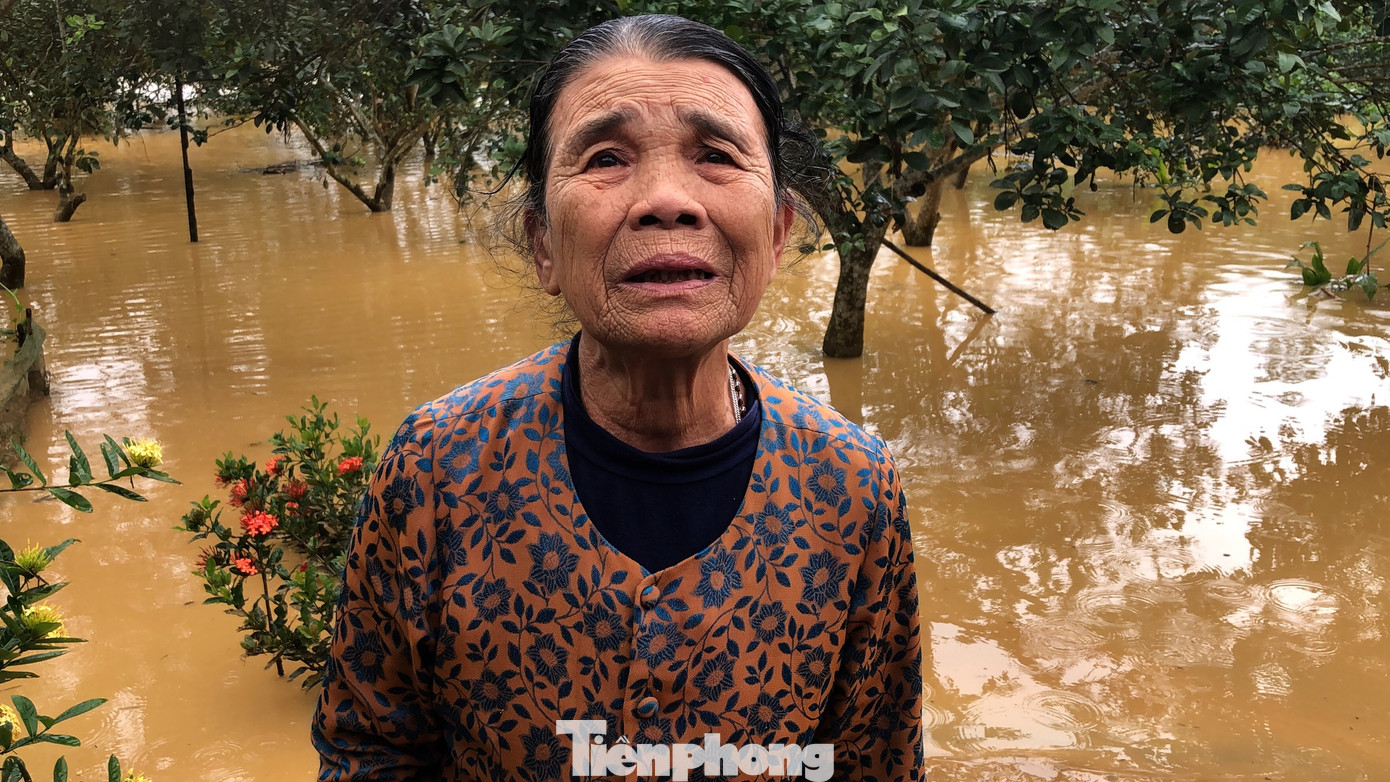“Nước lên quá nhanh, một số đồ đạc không kịp di chuyển đã bị hư hỏng. Khi nước lên cao, tôi phải trèo lên gác để nằm, còn vườn tược, nhà bị ngập sâu”, bà Cao Thị Thu (84 tuổi, trú huyện Hương Khê) nói.