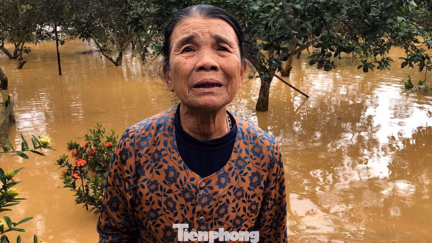 “Nước lên quá nhanh, một số đồ đạc không kịp di chuyển đã bị hư hỏng. Khi nước lên cao, tôi phải trèo lên gác để nằm, còn vườn tược, nhà bị ngập sâu”, bà Cao Thị Thu (84 tuổi, trú huyện Hương Khê) nói.