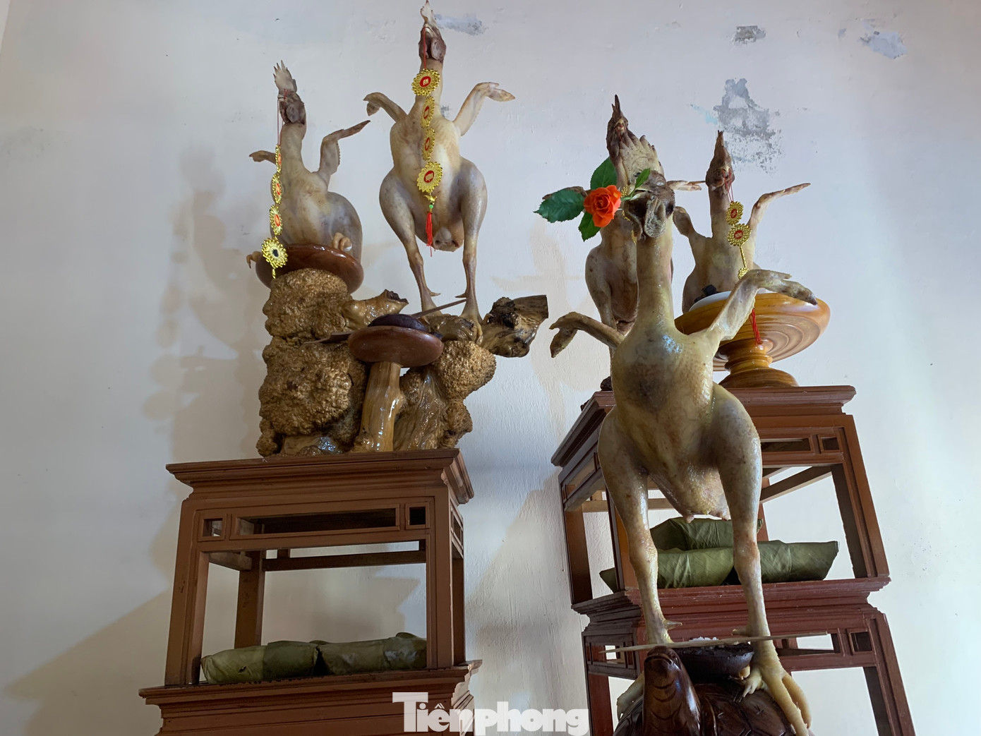 Nhiều năm qua, các dòng họ ở huyện Lộc Hà duy trì truyền thống tạo dáng, trang trí gà cúng tổ tiên với nhiều tư thế lạ mắt. Trong ảnh thế gà bay ngậm hoa...