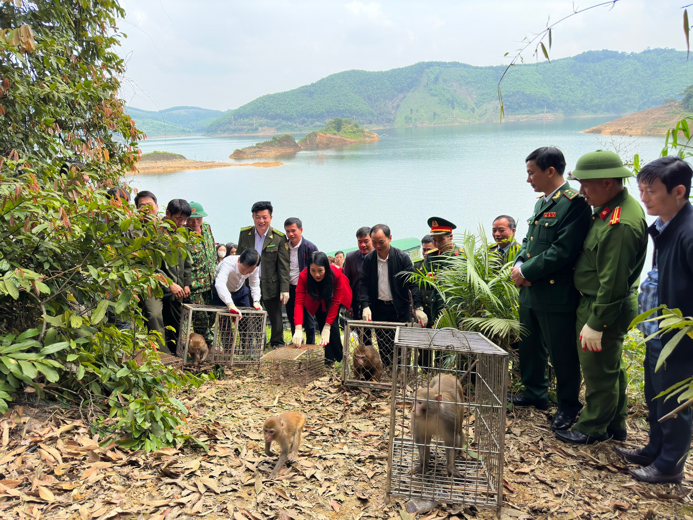 Vườn quốc gia Vũ Quang (tỉnh Hà Tĩnh) phối hợp với các cơ quan chức năng đã thả 43 cá thể động vật hoang dã quý hiếm về với môi trường tự nhiên. Vườn quốc gia Vũ Quang (tỉnh Hà Tĩnh) phối hợp với các cơ quan chức năng đã thả 43 cá thể động vật hoang dã quý hiếm về với môi trường tự nhiên.