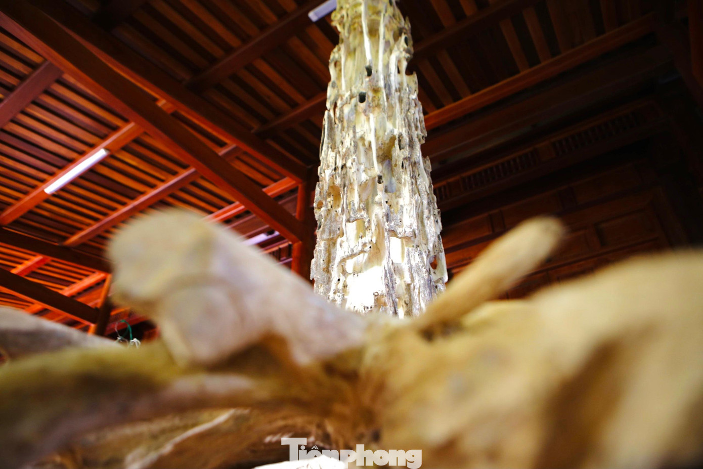 Trầm có thể làm đồ mỹ nghệ, đồ trang sức, hay làm tinh dầu. Không những vậy, nhiều cây dó trầm được đục, khoét tạo thành dáng cây để trang trí đặt trong bàn, hoặc nhà ở. Sản phẩm này rất được nhiều người ưa chuộng. Có những cây trầm sau khi chế tác để làm cảnh giá trị tiền tỷ.