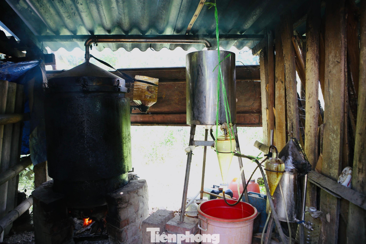 Các loại dăm (xác xỉa) đều được tận dụng để chế tinh dầu, làm nhang, giá từ vài ngàn đồng đến vài trăm ngàn đồng mỗi kg.