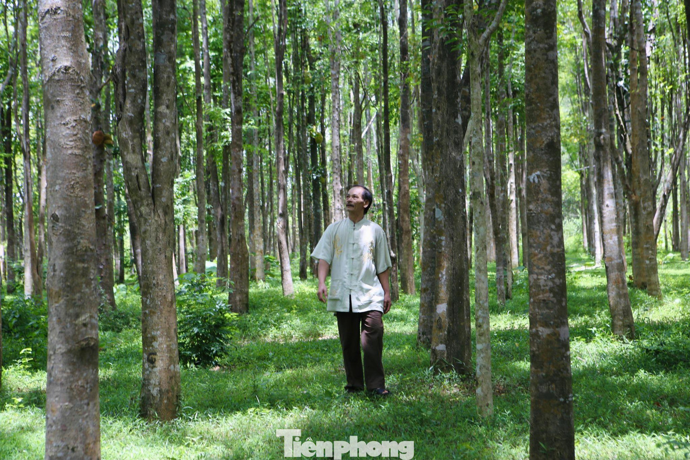 Huyện Hương Khê là thủ phủ trồng cây dó trầm ở Hà Tĩnh, được trồng nhiều ở các xã Phúc Trạch, Hương Trạch. Từ những cây dó trầm, người dân sẽ chế tác ra nhiều loại sản phẩm thủ công khác nhau như: trầm cảnh, đồ mỹ nghệ, trang sức, các sản phẩm tâm linh…