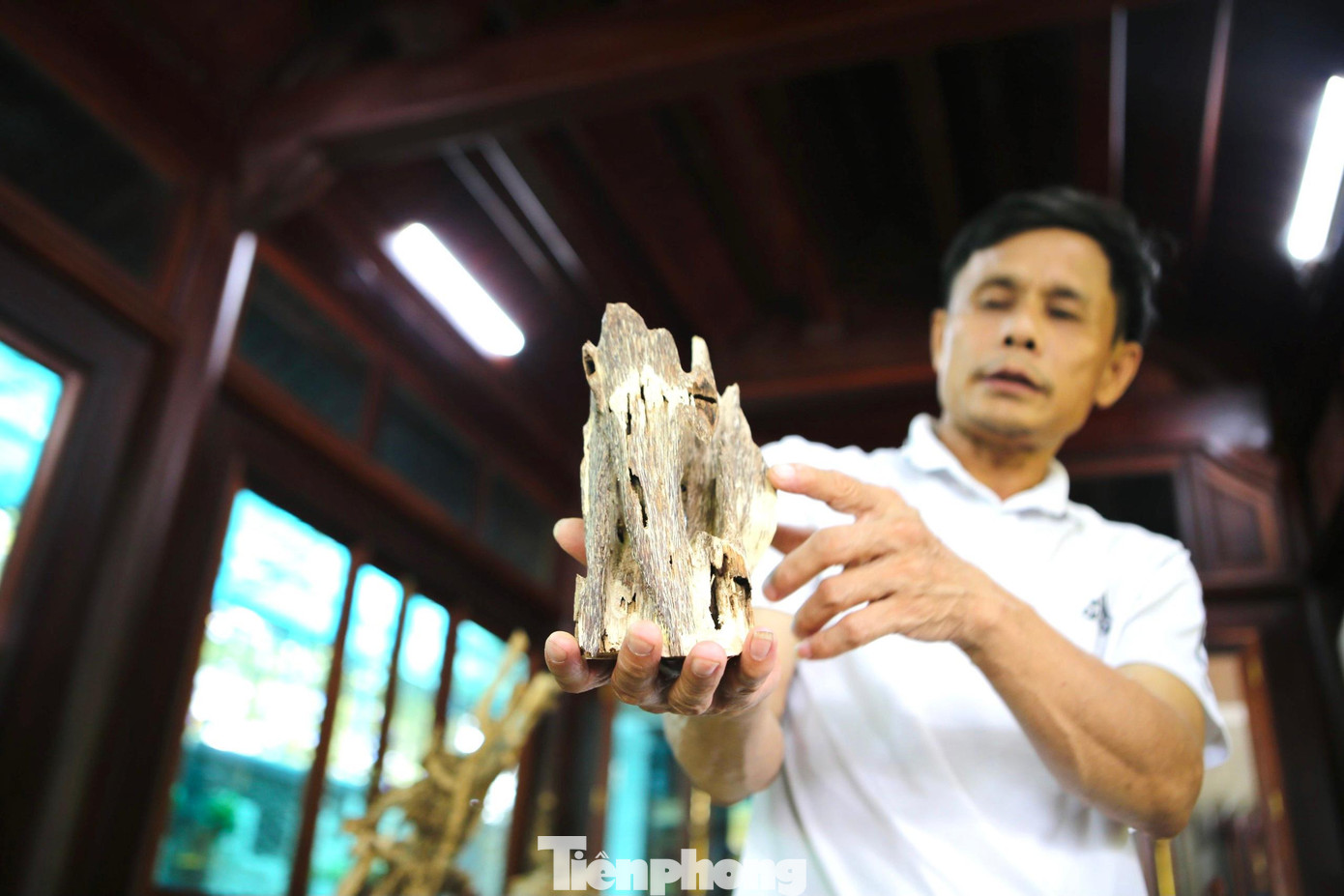 Giá trầm cảnh từ vài triệu, vài trăm triệu đến cả tỷ đồng, tùy thuộc loại trầm, dáng cây, nhưng cũng còn tùy thời điểm, tùy người mua.