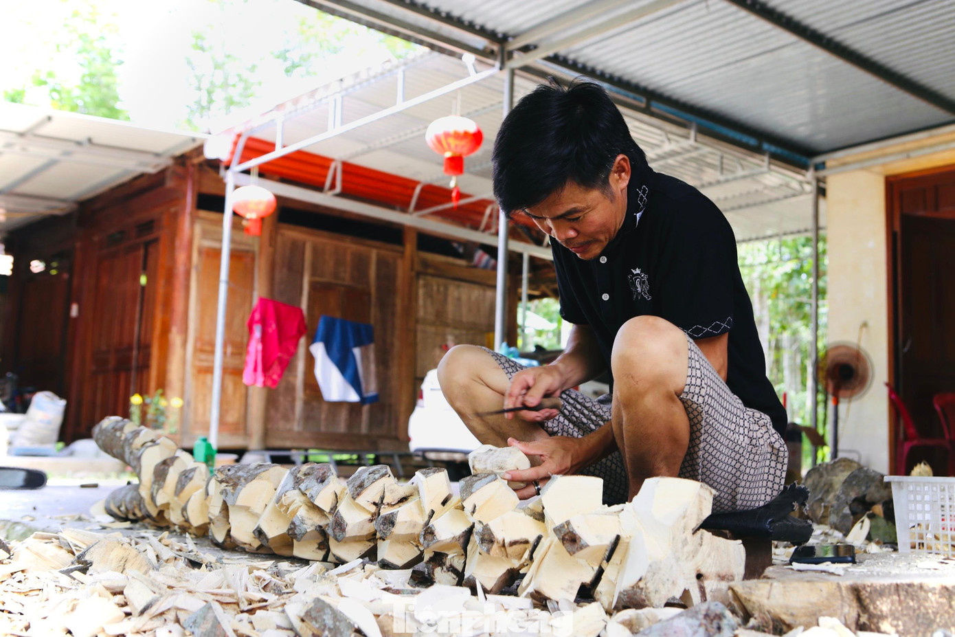 Trầm hương là phần gỗ cây dó bầu chứa nhựa thơm, được kết thành từ những vị trí cây dó bầu bị kiến, sâu đục, gãy cành, hoặc do người dân tự đục tạo lỗ. Vì thế, trước khi chọn mua trầm, người dân phải khoét vỏ thân bên ngoài để biết số lượng trầm bên trong.