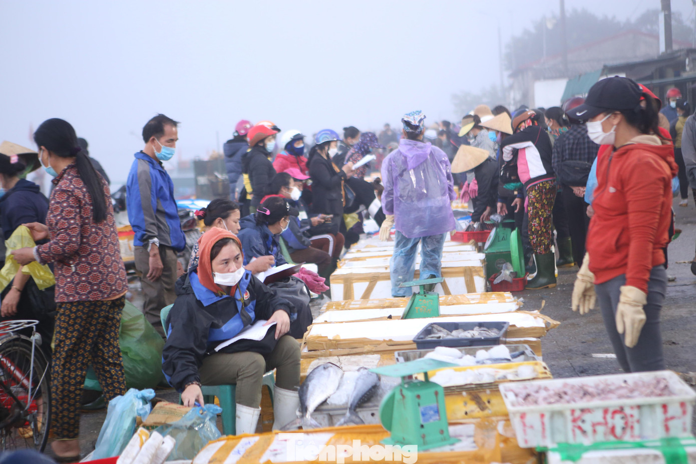 Do dịp cận Tết nhu cầu sử dụng hải sản tươi sống tăng cao, nên thương lái tranh nhau mua ngay tại cảng.