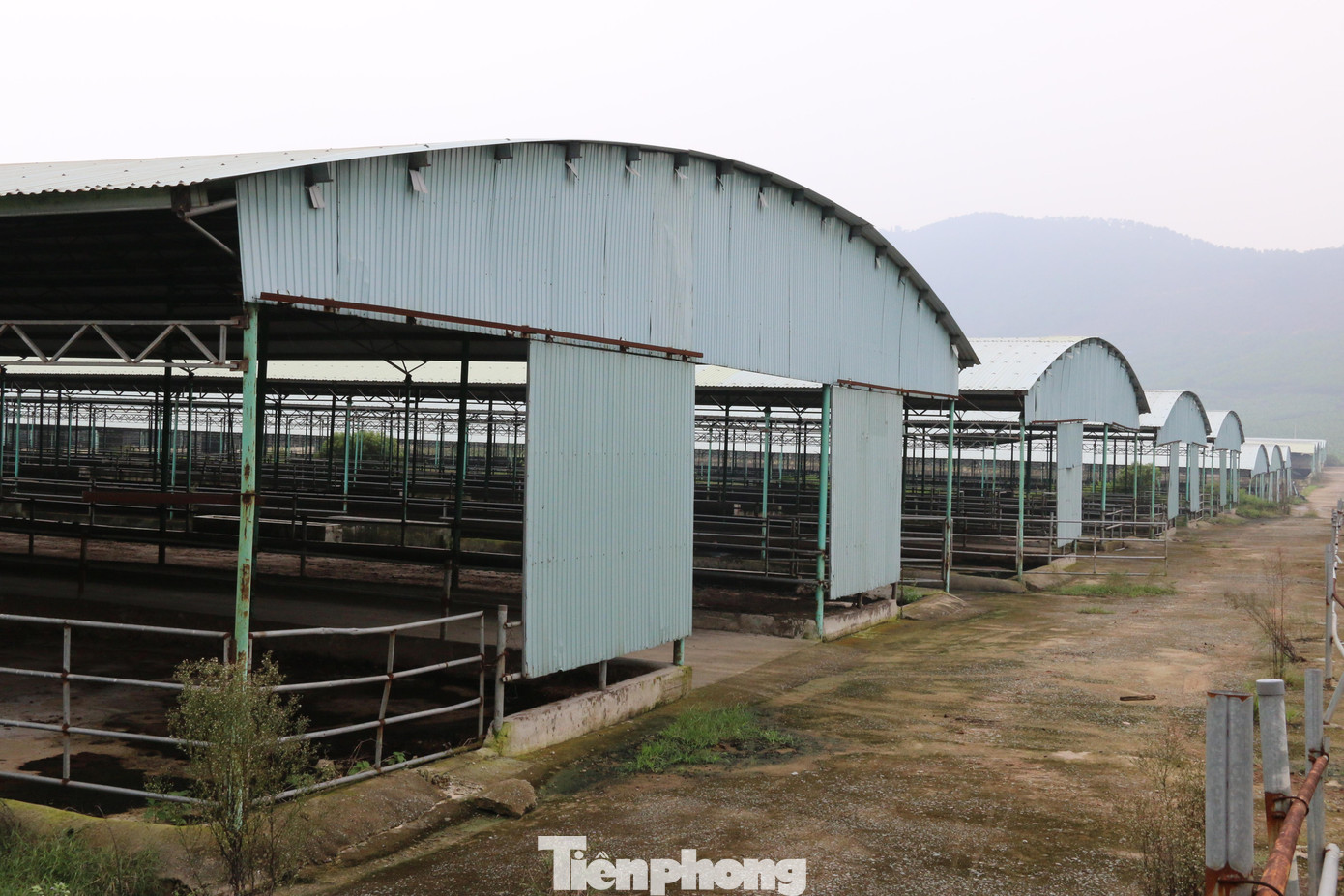 Chuồng không nhà trống bên trong dự án.