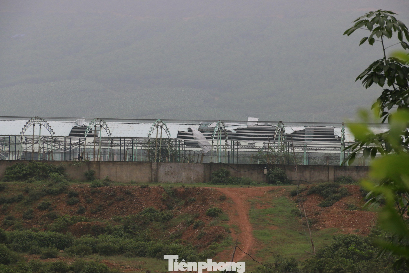 Dự án bò Bình Hà nhìn từ bên ngoài.