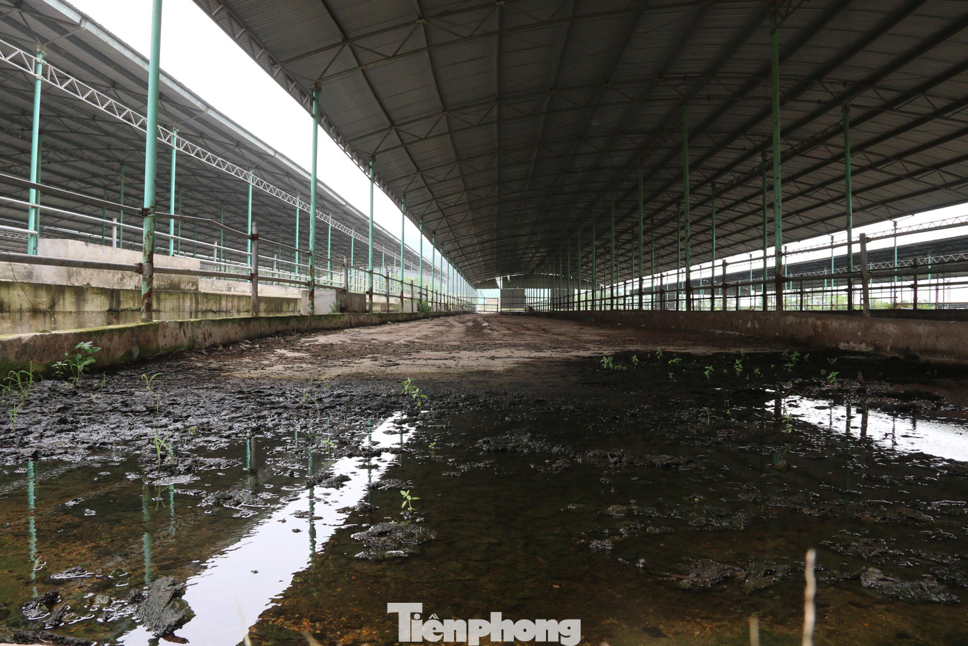 Cảnh hoang tàn bên trong dự án