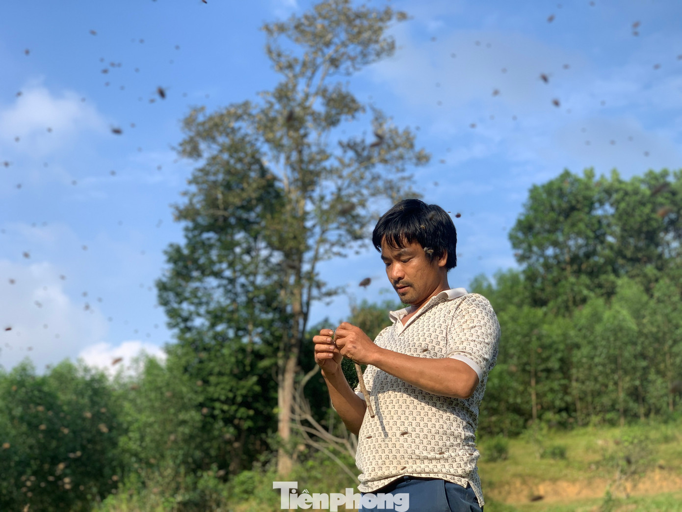 Theo anh Thao, khi thời tiết chuyển lạnh, nhiệt độ ở vùng núi xuống thấp cũng là lúc đàn ong bắt đầu rời tổ cũ đi tìm nơi ấm hơn để xây tổ mới. Theo anh Thao, khi thời tiết chuyển lạnh, nhiệt độ ở vùng núi xuống thấp cũng là lúc đàn ong bắt đầu rời tổ cũ đi tìm nơi ấm hơn để xây tổ mới.