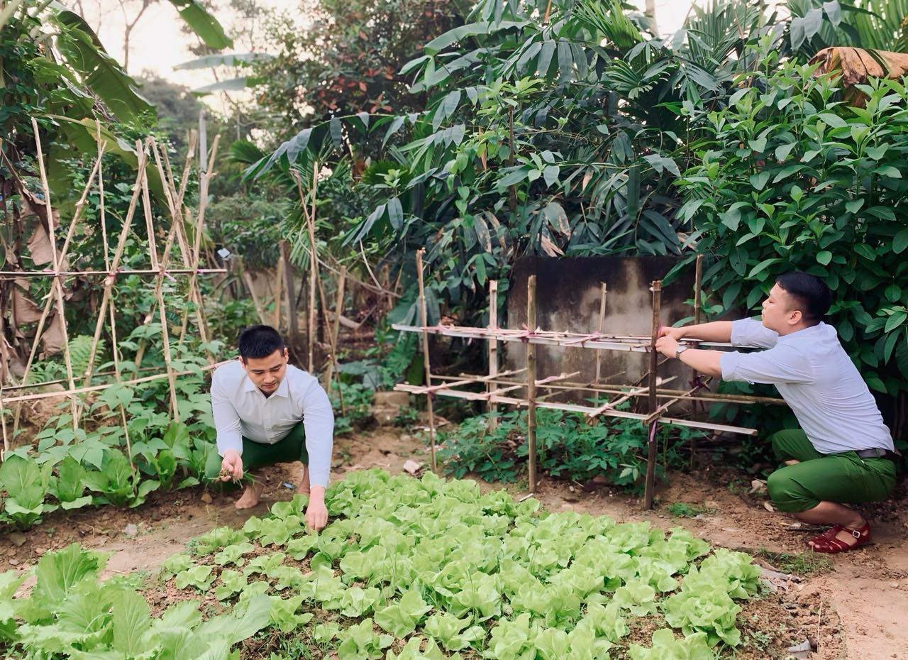 Hiểu rõ hơn về ý nghĩa công trình thanh niên này, các chiến sĩ công an đều tỏ ra thích thú, tự giác chăm sóc vườn rau sau giờ làm việc, đồng thời thu hoạch và gieo trồng rau theo thời vụ đảm bảo chất lượng.