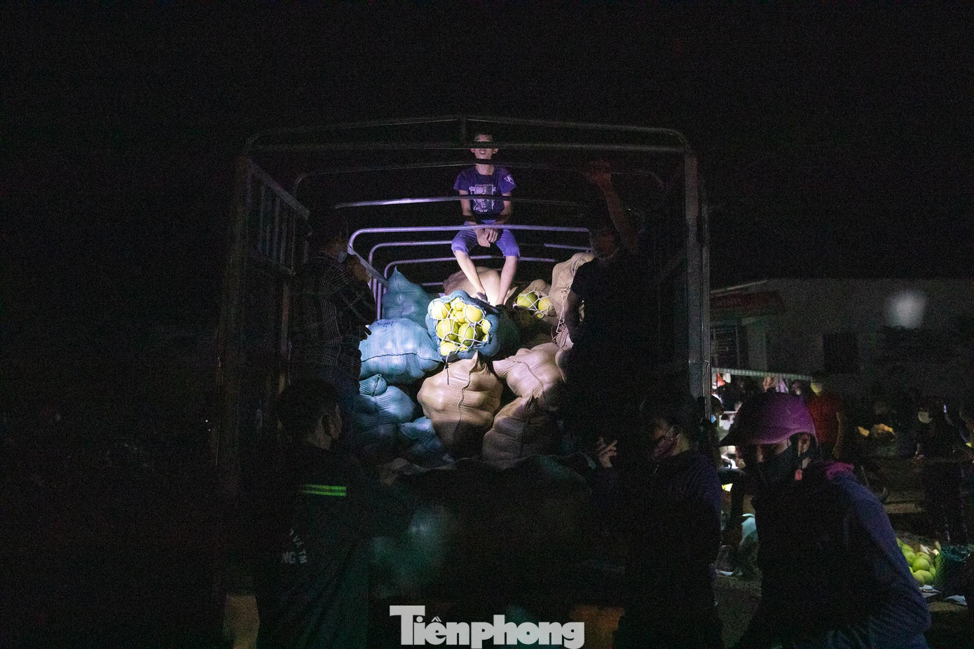 Chợ bưởi Phúc Trạch này buôn bán sôi động diễn ra tầm khoảng 10 ngày nay, giao dịch mua bán cho tới sáng hôm sau.