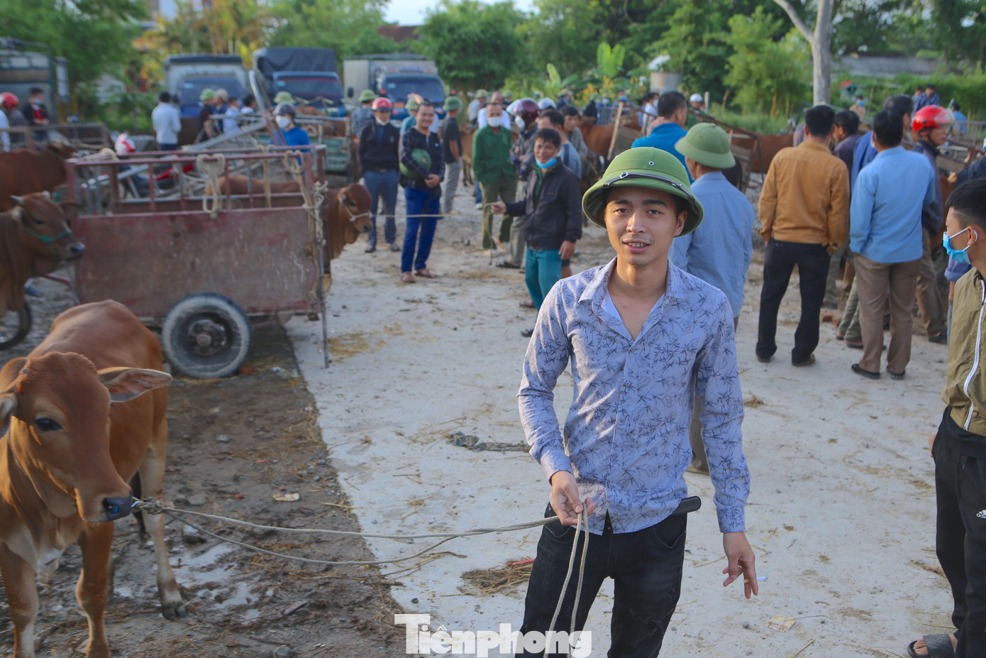 Anh Trần Quốc Trọng (SN 1992, trú thị trấn Đồng Lộc, huyện Can Lộc) dậy từ 3h sáng chuẩn bị xe cộ, đồ nghề đưa 2 con bò ra chợ Nhe để bán.