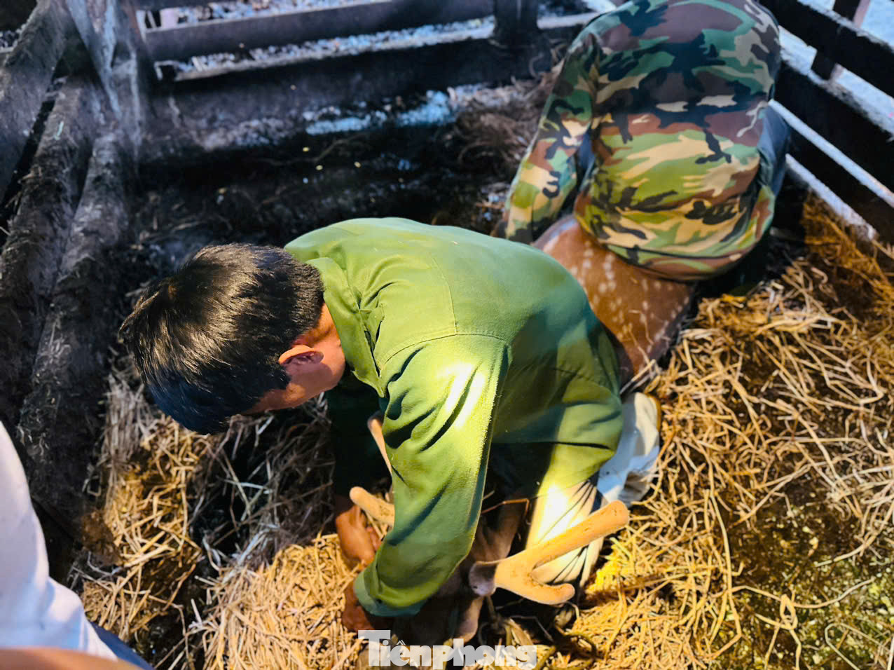 "Nghề này cũng cần có kỹ thuật, kinh nghiệm cao. Mỗi ngày trong mùa này chúng tôi kiếm được từ 1-2 triệu đồng, nhờ nghề này anh em có thêm thu nhập lúc rảnh rỗi", ông Chương kể.